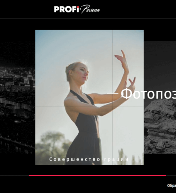 PROFI:Persona